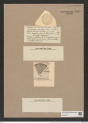 Coscinodiscus denarius var. variolatus (Castr.) Rattr. (de-Toni-Nr.: Genus 202, Species 4954) Zeichnungen Sammlung Grunow Nr. 8549 (NHMW-BOT-W0378185)